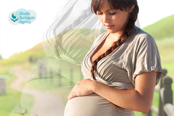 Commercial Surrogacy